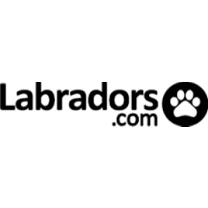 Labradors.com Labradors.com
